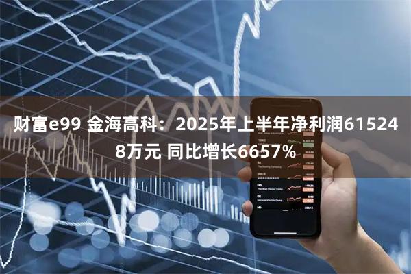 财富e99 金海高科：2025年上半年净利润615248万元 同比增长6657%