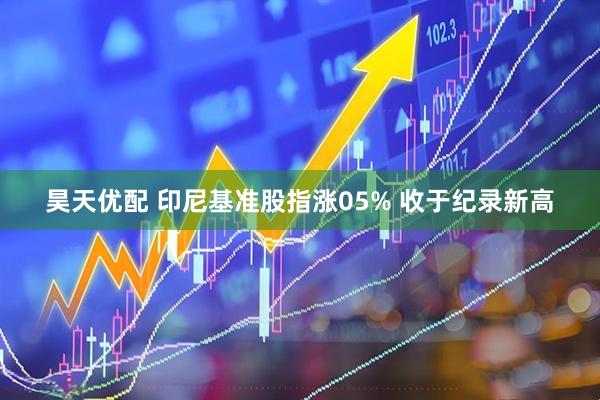 昊天优配 印尼基准股指涨05% 收于纪录新高