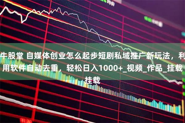 牛股堂 自媒体创业怎么起步短剧私域推广新玩法,利用软件自动去重,轻松日入1000+_视频_作品_挂载