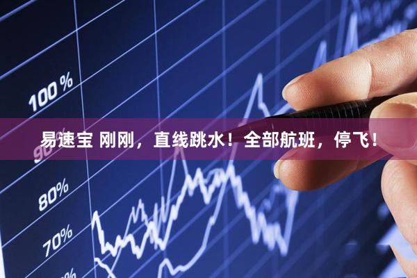 易速宝 刚刚，直线跳水！全部航班，停飞！
