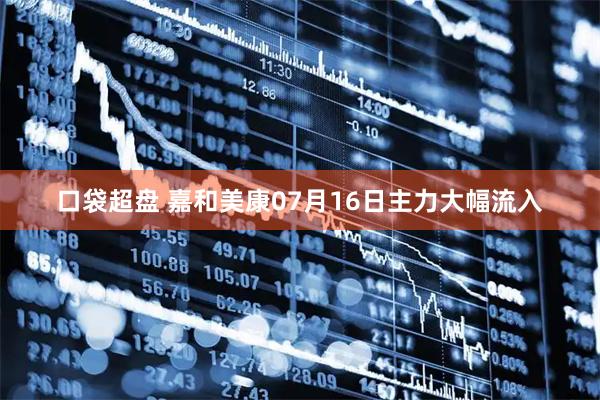 口袋超盘 嘉和美康07月16日主力大幅流入