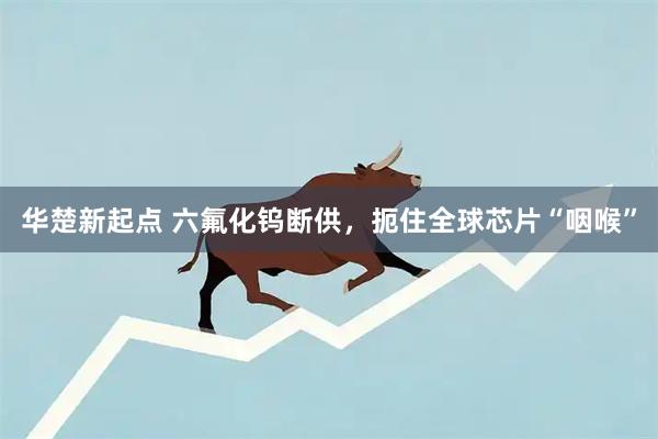 华楚新起点 六氟化钨断供,扼住全球芯片“咽喉”